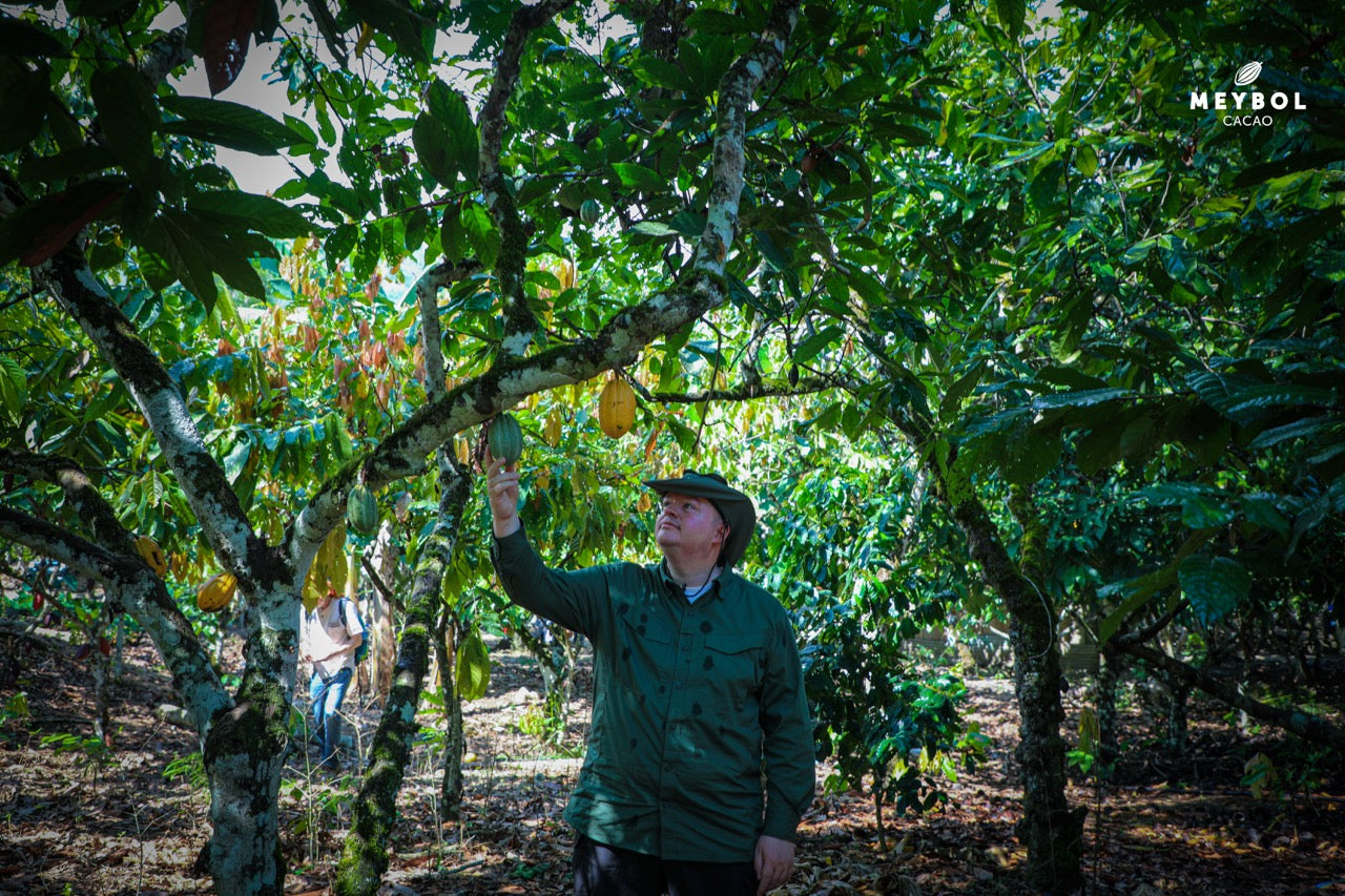 Japanischer Schokoladenabend 11.09.2026