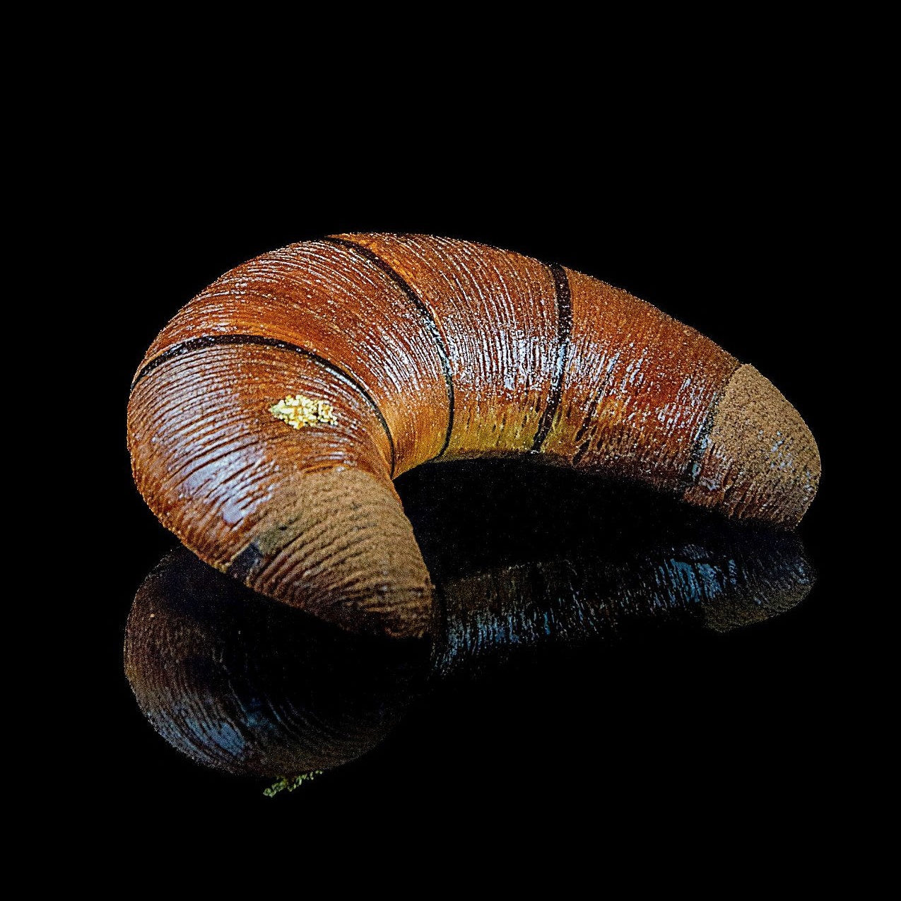 Croissant Mond - Zimt Haselnuss