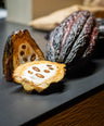 Schokoladen-Tasting 20.03.25