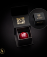 Little Love - Champagner - 1er Pralinenbox