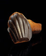 Zitrus Madeleines der Patisserie Johanna